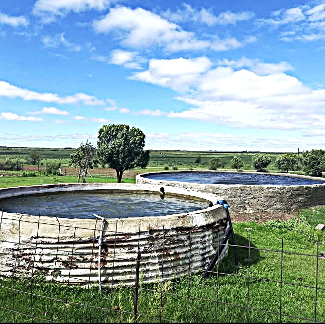 Commercial Property for Sale in Koppies Rural Free State